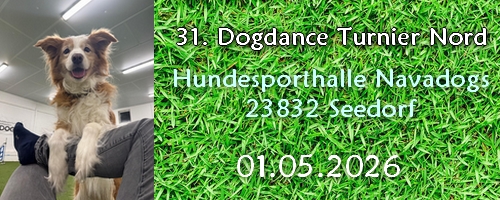 Dogdance Turnier Nord Hundesporthalle Seedorf
